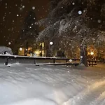 Park Gran Bosco 3*