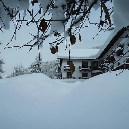 Hotel Park Gran Bosco 3*